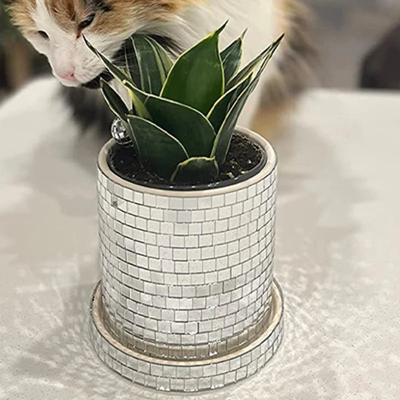 Twilight Planter